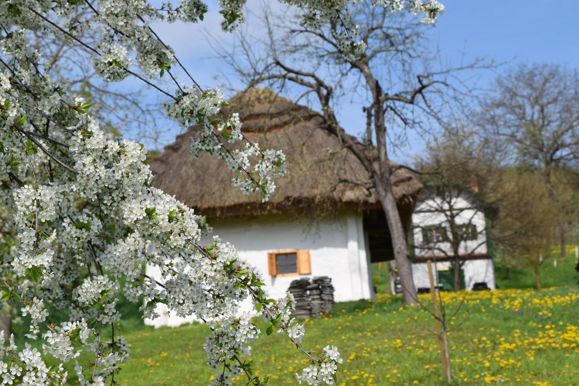 Genussgasthof & Hotel Beim Krutzler Heiligenbrunn Exterior photo
